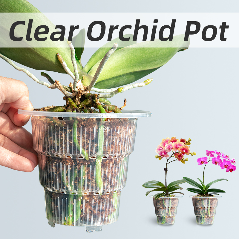 Aloe Vera Pot - أوعية أوركيد بلاستيكية شفافة مع ثقوب