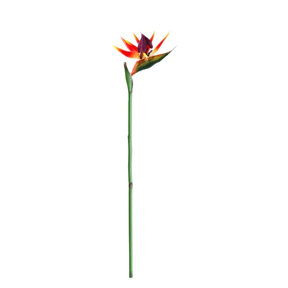 زهور ستريليتزيا اصطناعية طويلة - مراجعة Bird Paradise Strelitzia وسعره
