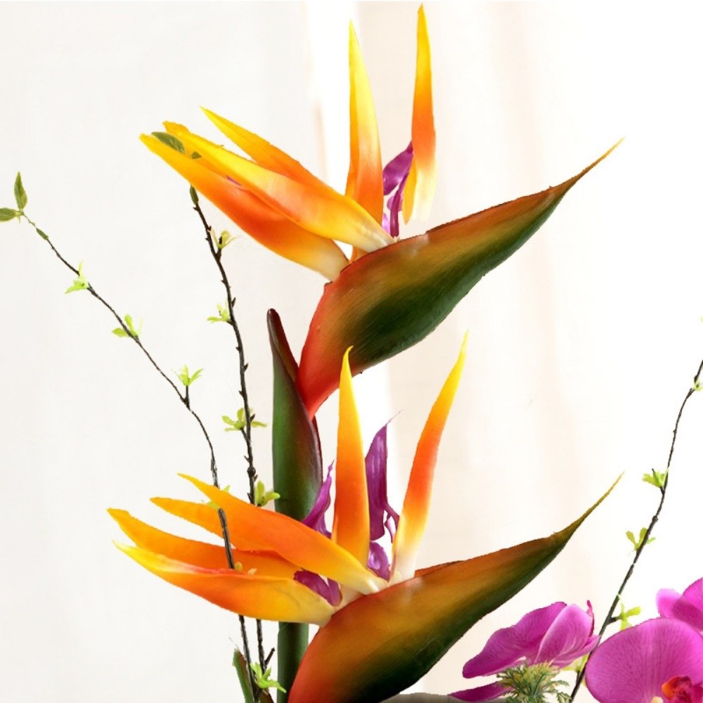 نباتات صناعية طويلة الساق تشبه - مراجعة Bird Paradise Strelitzia وسعره