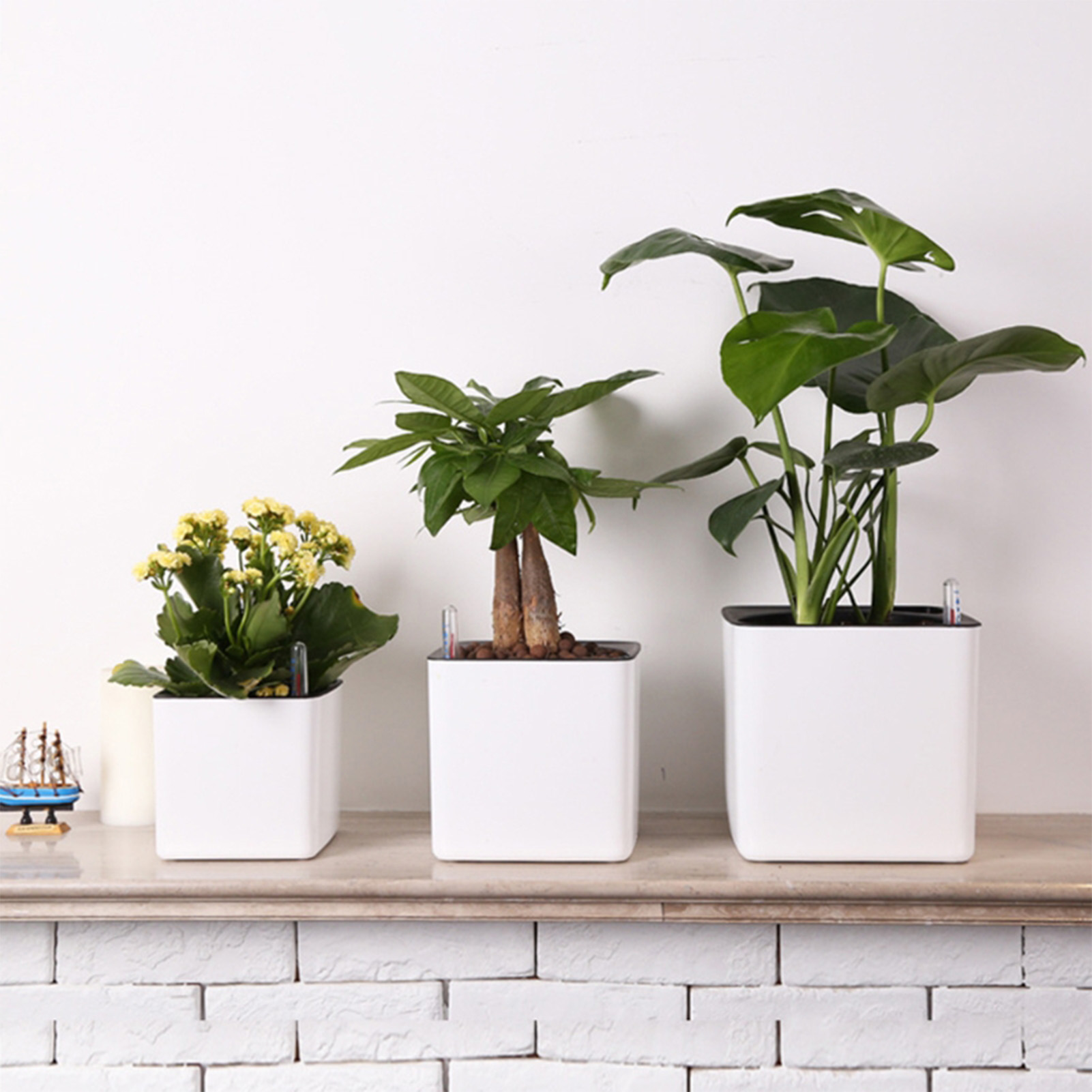 التلقائي الذاتي سقي زهرة النبا - مراجعة Aloe Vera Pot وسعره