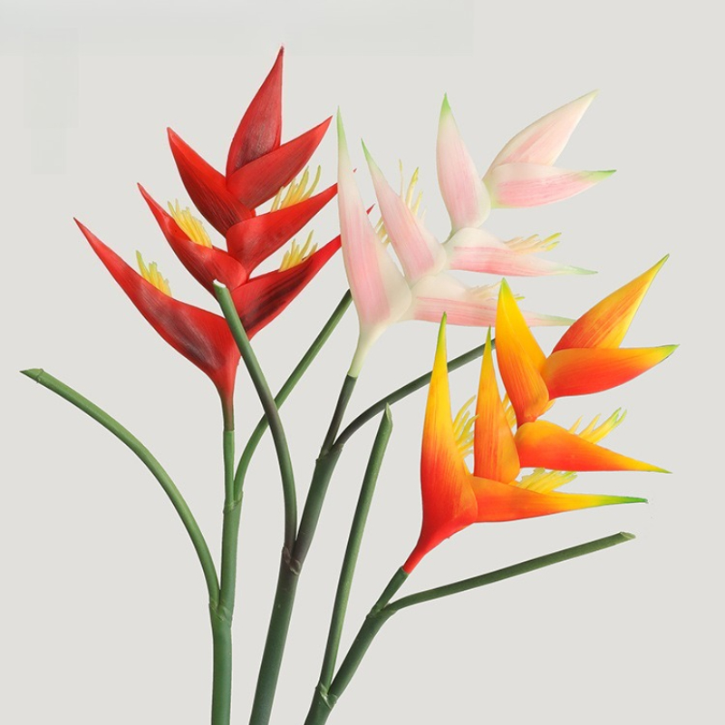 1 قطعة 85 سنتيمتر Strelitzia R - مراجعة Bird Paradise Strelitzia وسعره