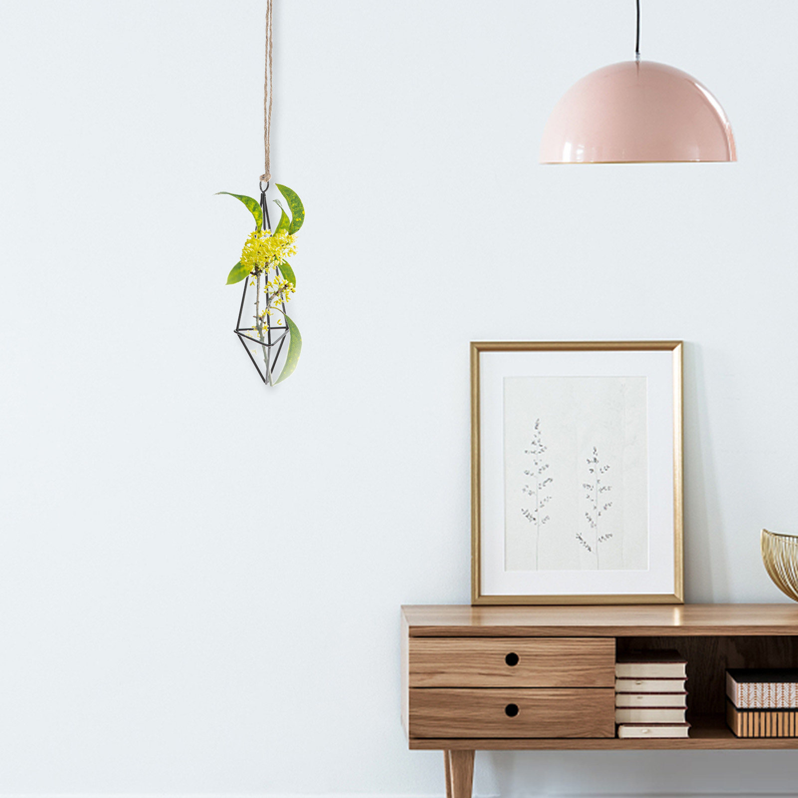 حامل نباتات هوائية معدني معلق  - مراجعة Spider Plant Hanging وسعره