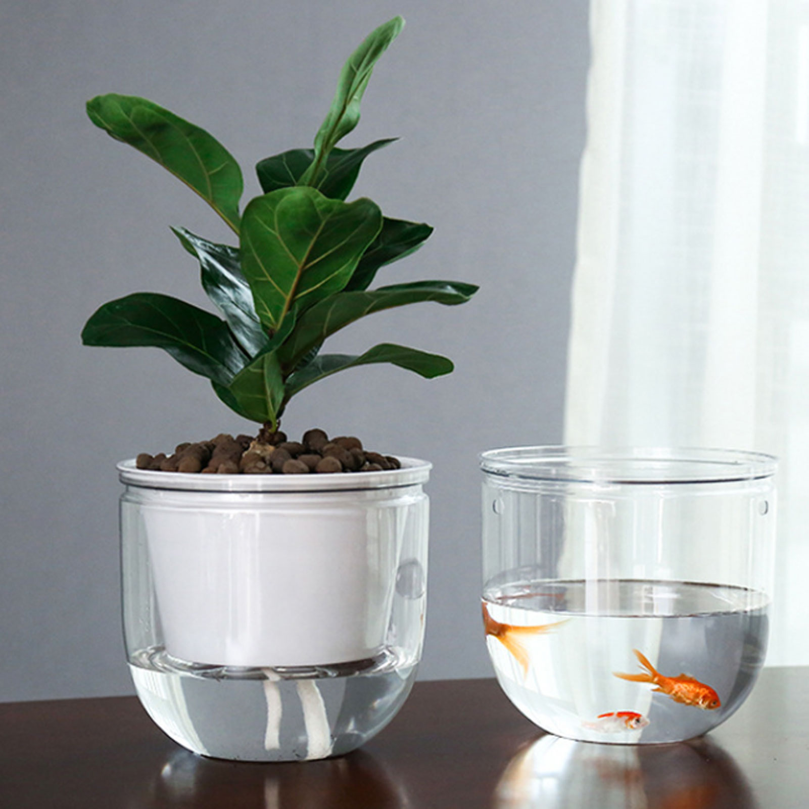 أواني نباتات ذاتية الري أوتوما - مراجعة Spider Plant Hanging وسعره