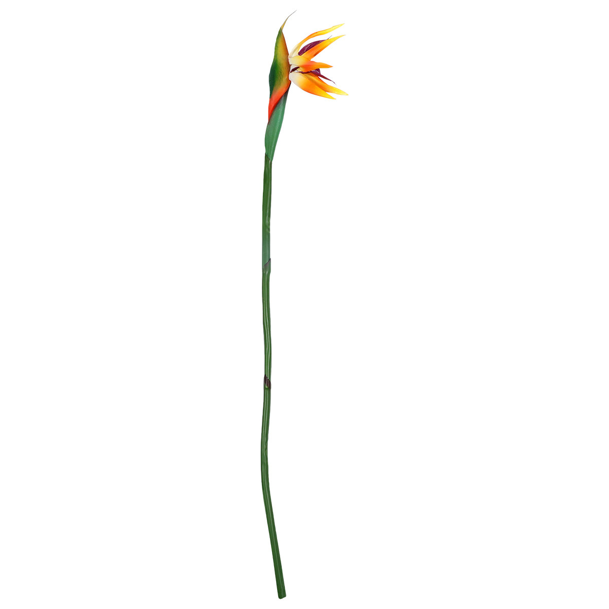 زهرة ستريليتزيا اصطناعية بملمس - مراجعة Bird Paradise Strelitzia وسعره