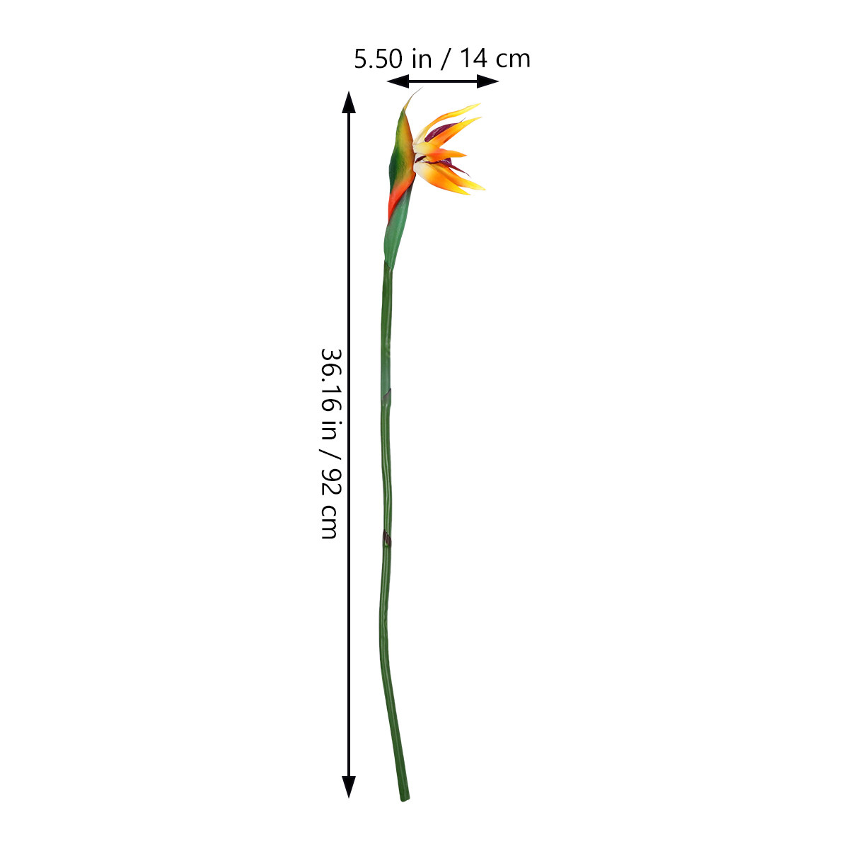 نبات طائر الجنة الاصطناعي ذو م - مراجعة Bird Paradise Strelitzia وسعره