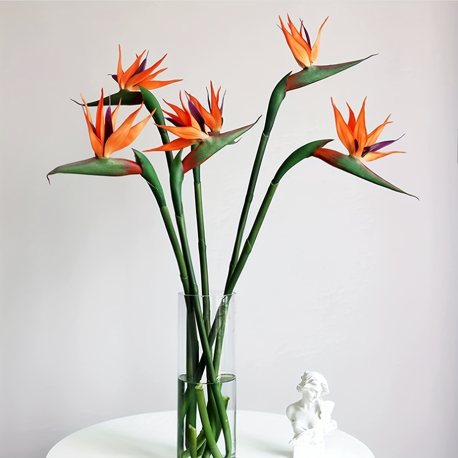 3 قطع من زهور طيور السماء الاص - مراجعة Bird Paradise Strelitzia وسعره