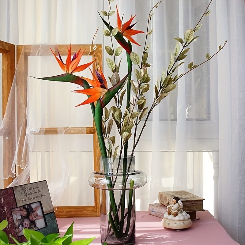 3 قطع من زهور طيور السماء الاص - مراجعة Bird Paradise Strelitzia وسعره