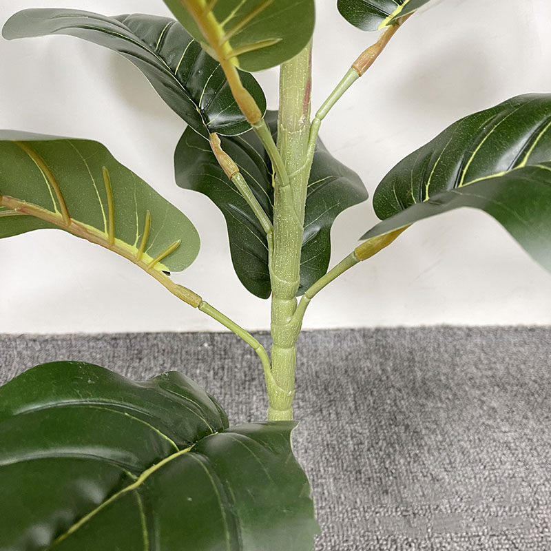 59in كبير اللبخ شجرة النباتات  - مراجعة Ficus Lyrata Tree وسعره