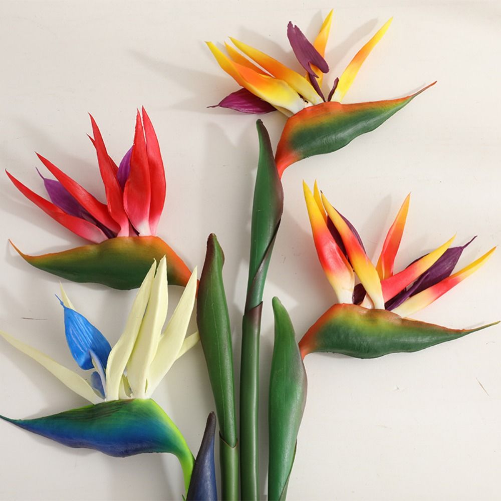 زهور طائر الجنة الاصطناعية طوي - مراجعة Bird Paradise Strelitzia وسعره