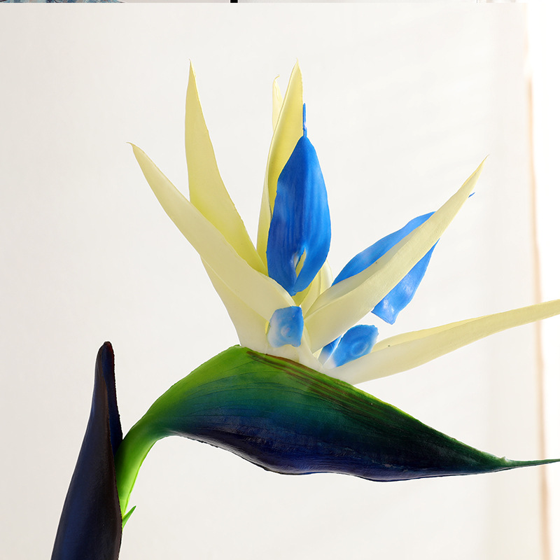 قطعتان من زهور السترليتازيا ال - مراجعة Bird Paradise Strelitzia وسعره