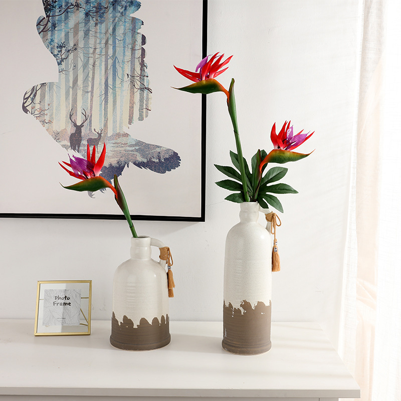 قطعتان من زهور السترليتازيا ال - مراجعة Bird Paradise Strelitzia وسعره